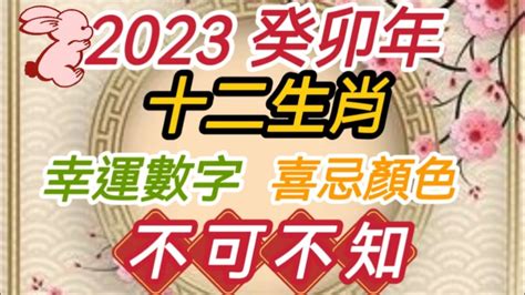 2023屬豬幸運物|十二生肖「幸運數字、幸運顏色、大吉方位」！跟著做。